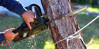 Soil Testing and Treatment in Hamilton, TX
